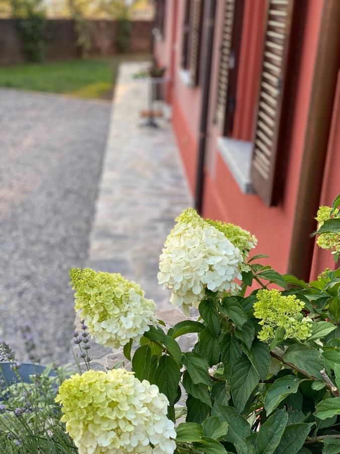 Il Mallo Verde - Lake Como B&B Mandello del Lario Kültér fotó