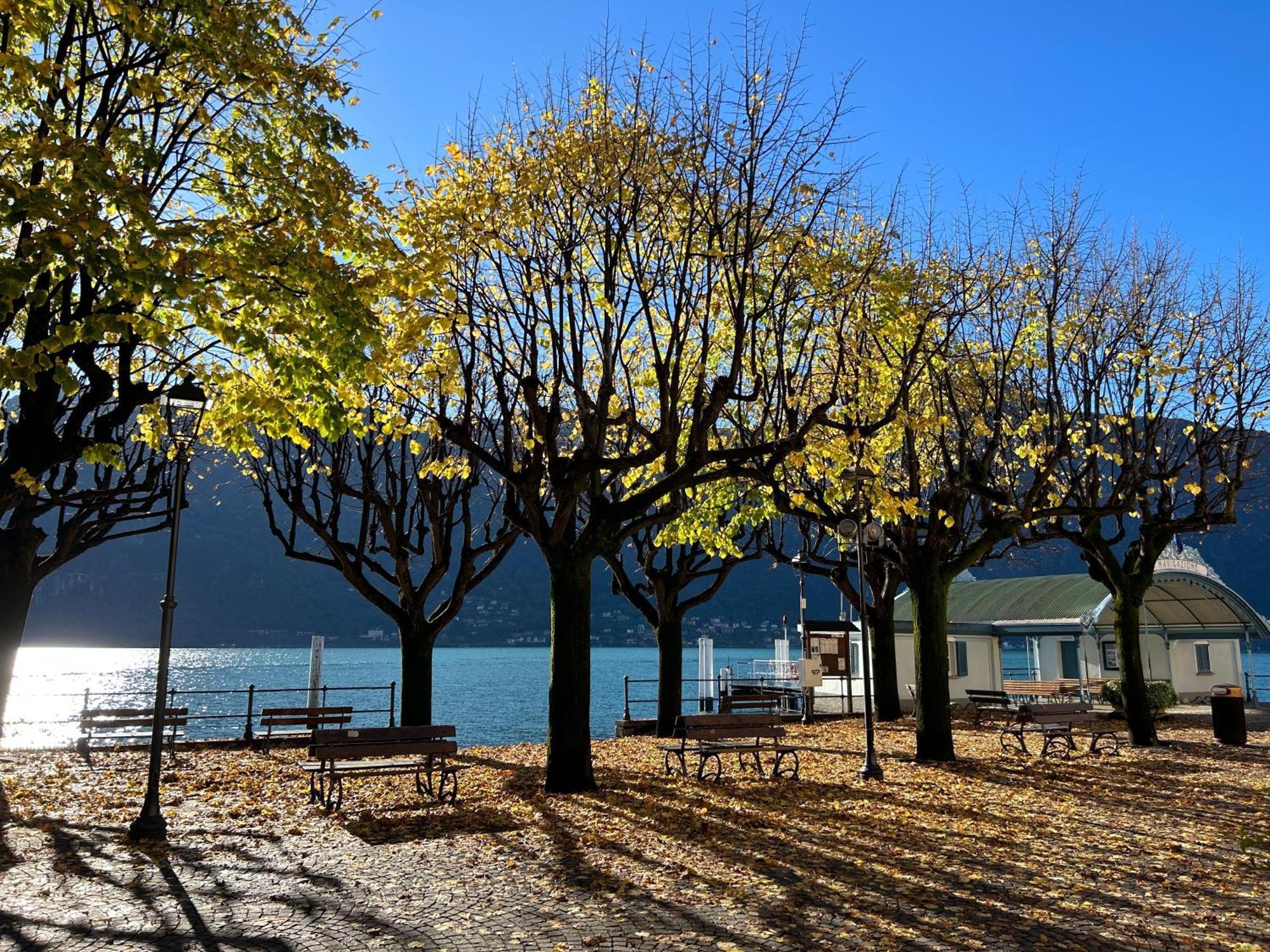 Il Mallo Verde - Lake Como B&B Mandello del Lario Kültér fotó