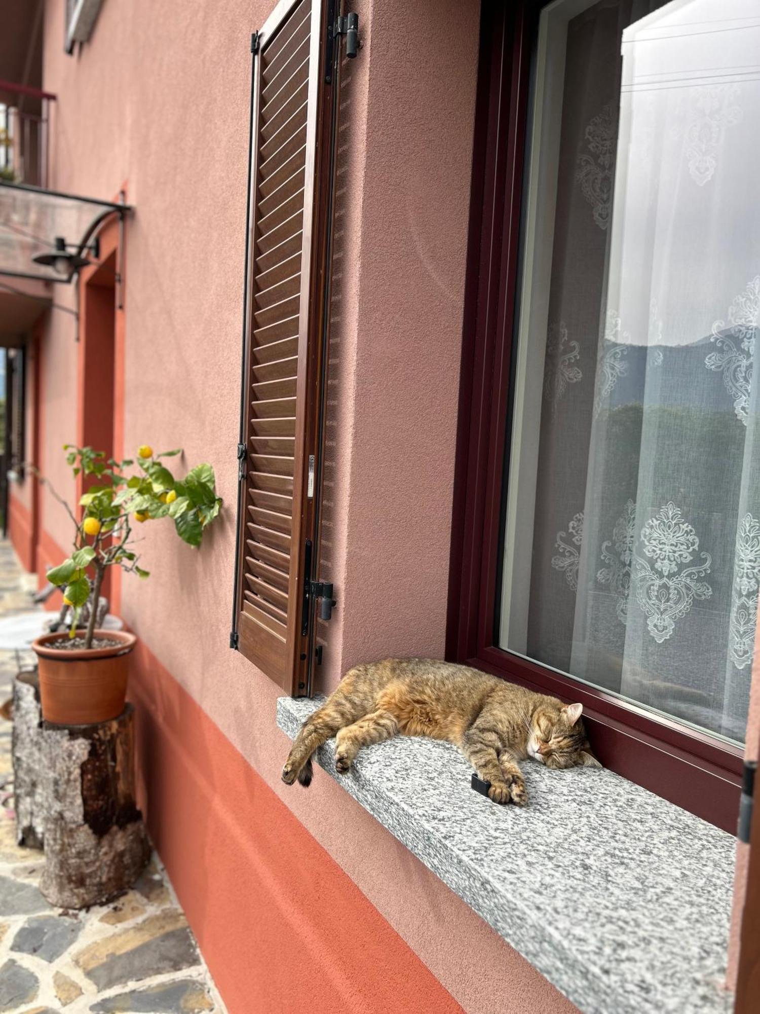 Il Mallo Verde - Lake Como B&B Mandello del Lario Kültér fotó